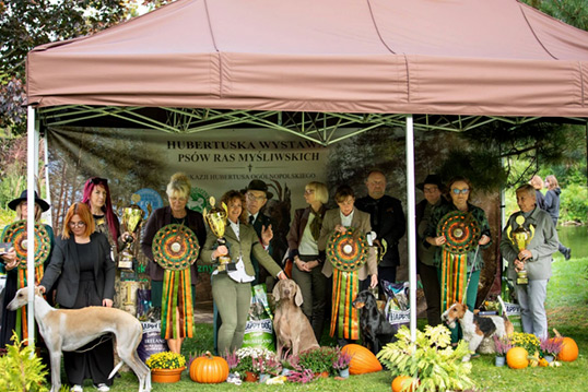 krajowa wystawa ps�w my�liwskich Grudzi�dz 2026
